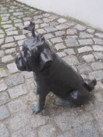 DSCN8344.JPG  Mops