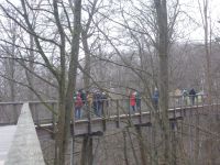 DSCN8585.JPG