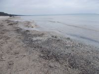 DSCN8619.JPG