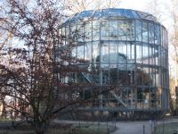 DSCN9609.JPG Kamelien Glashaus