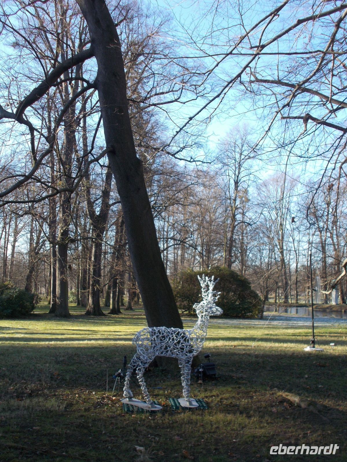 DSCN9610.JPG