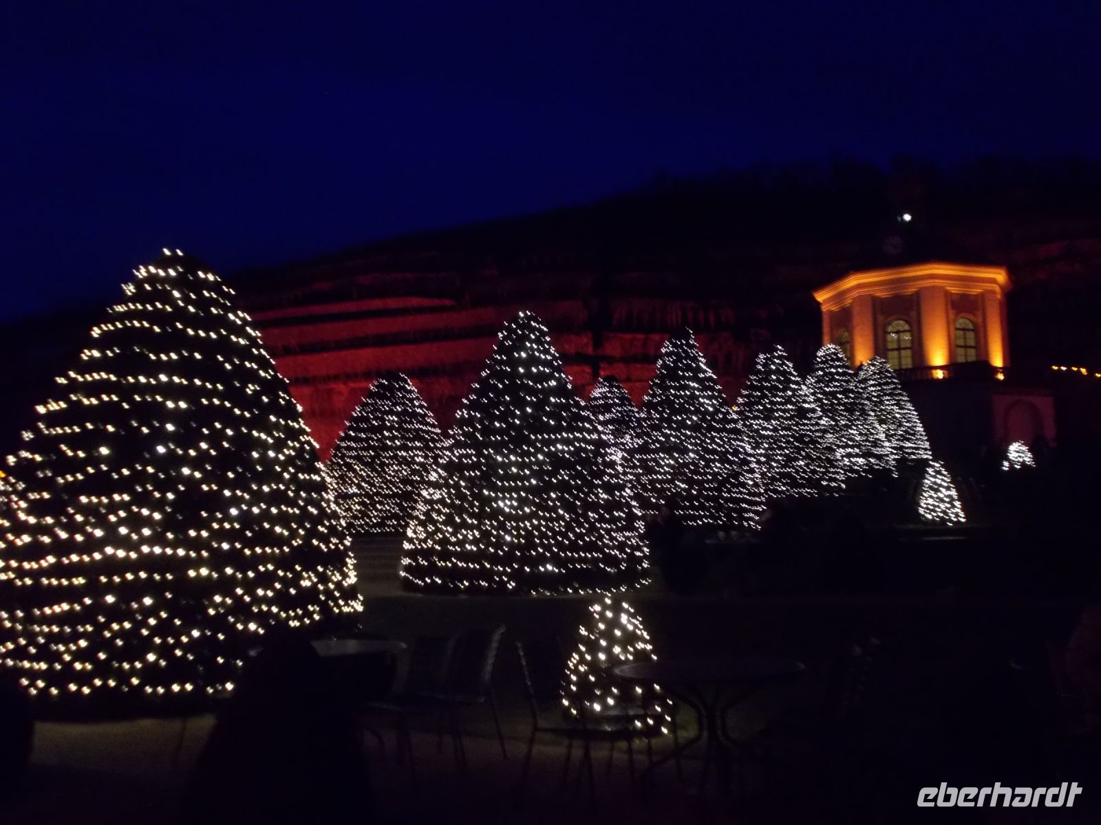 DSCN9659.JPG