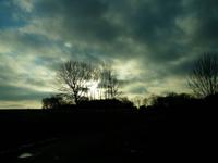 Dahlener Heide