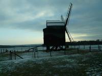 Dahlener Heide