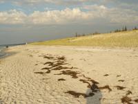 Darsser Weststrand 7