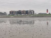 Das Lighthouse Spa Hotel mit dem Leuchtturm von Büsum