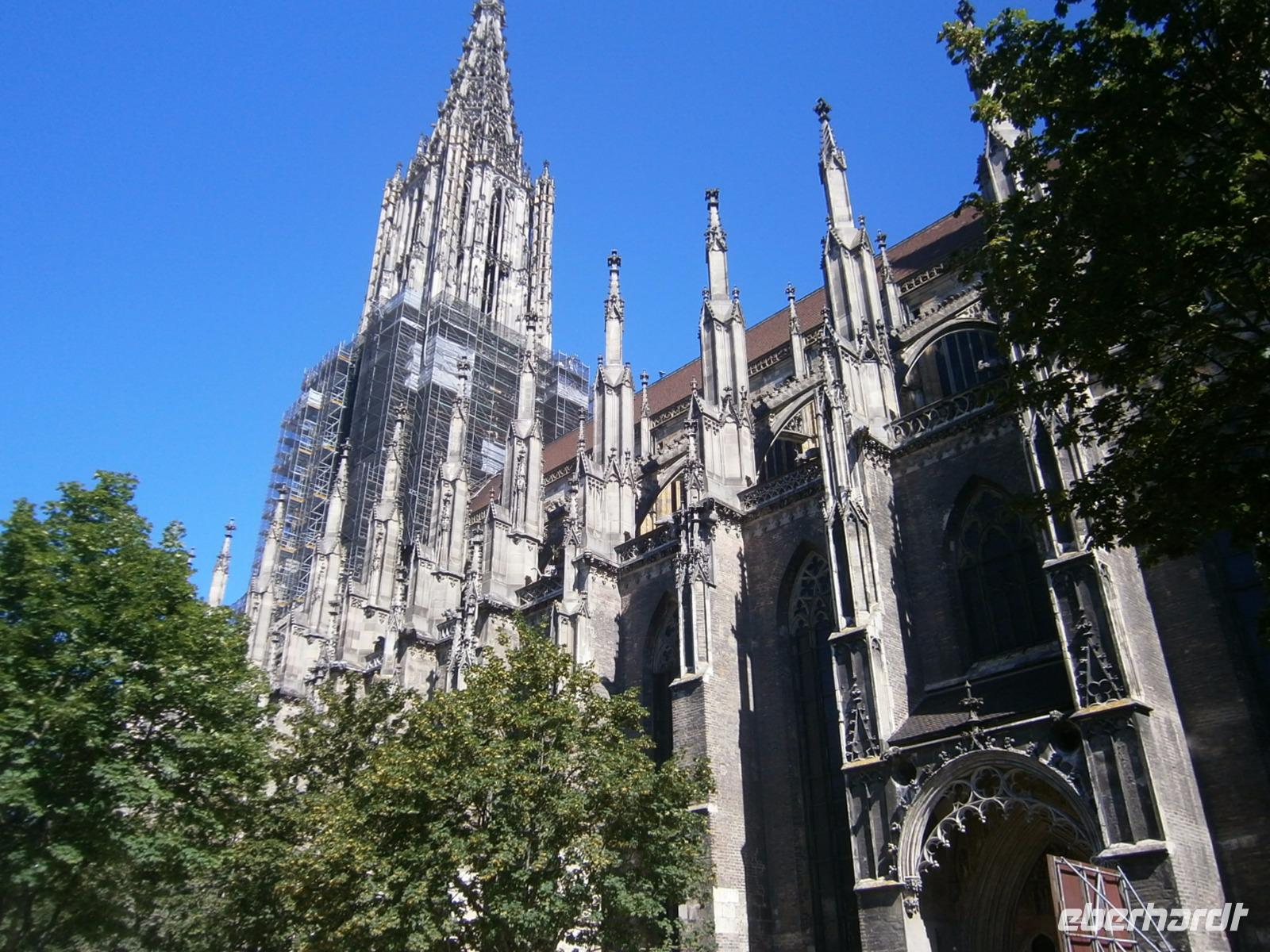 Das Ulmer Münster, von der Seite aus gesehen