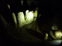Dechenhöhle