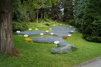 Der Bodensee als Blumenbeet
