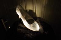 Der EINE Schuh