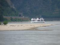 Der Rhein
