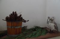 Die Ausstellung zum Märchen 