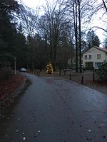 Die Waldsiedlung
