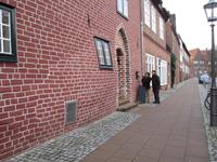 Die schwangeren Haeuser
