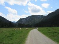 E-Bike Radtour der Eberhardt TRAVEL Gruppe im Juli 2016 durch das Chiemgau