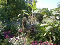 Ein Garten Eden