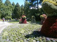 Eine Entenfamilie, gestaltet aus Blumen