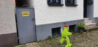 Entdeckungen in Lemgo