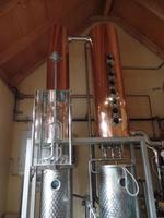 Führung in der Spreewood Distillers - Spreewälder Likörfabrik