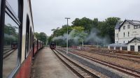 Fahrt mit dem Molli nach Kühlungsborn