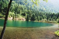 Falkensee