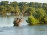 Flusslandschaft