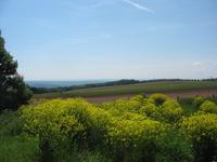 Gebaberg - Aussicht