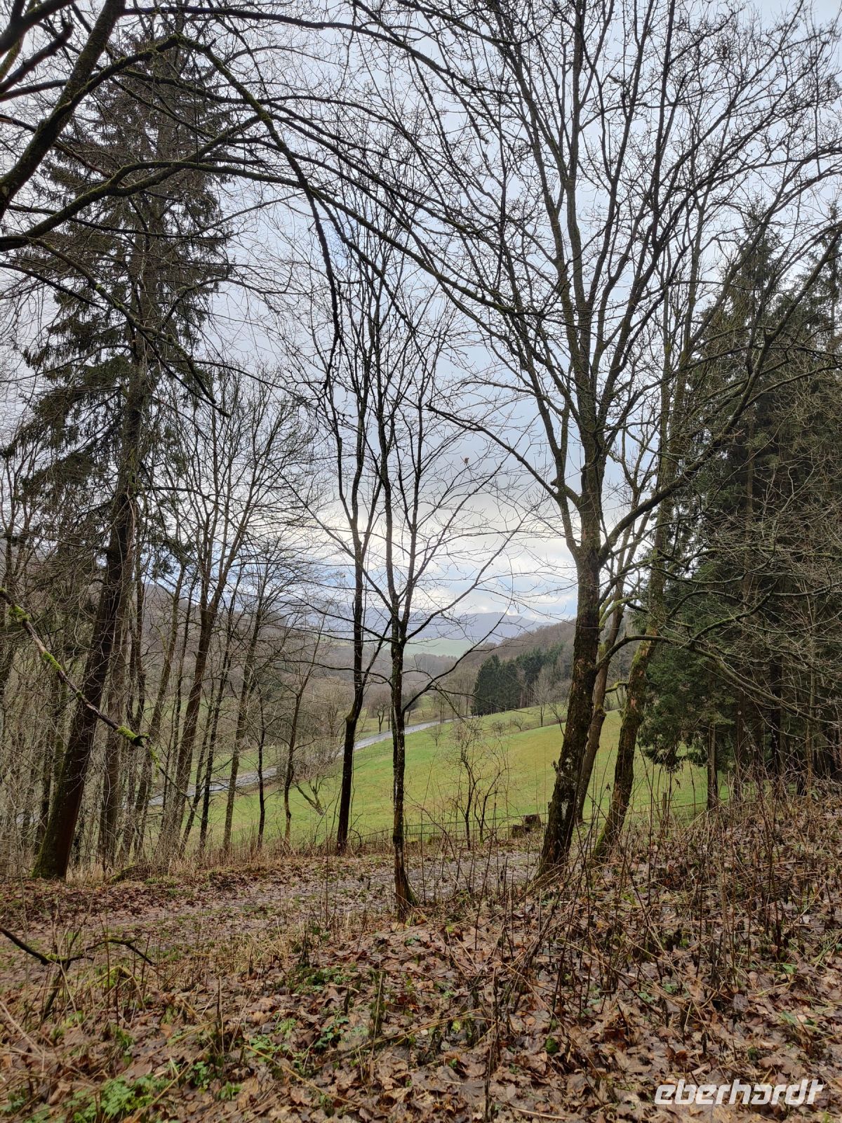 Glaswald 