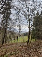 Glaswald 