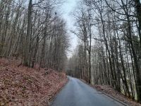 Glaswald Gersfeld