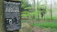 Großsteingrab bei Göhren