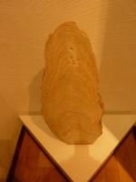 Höhlenmuseum