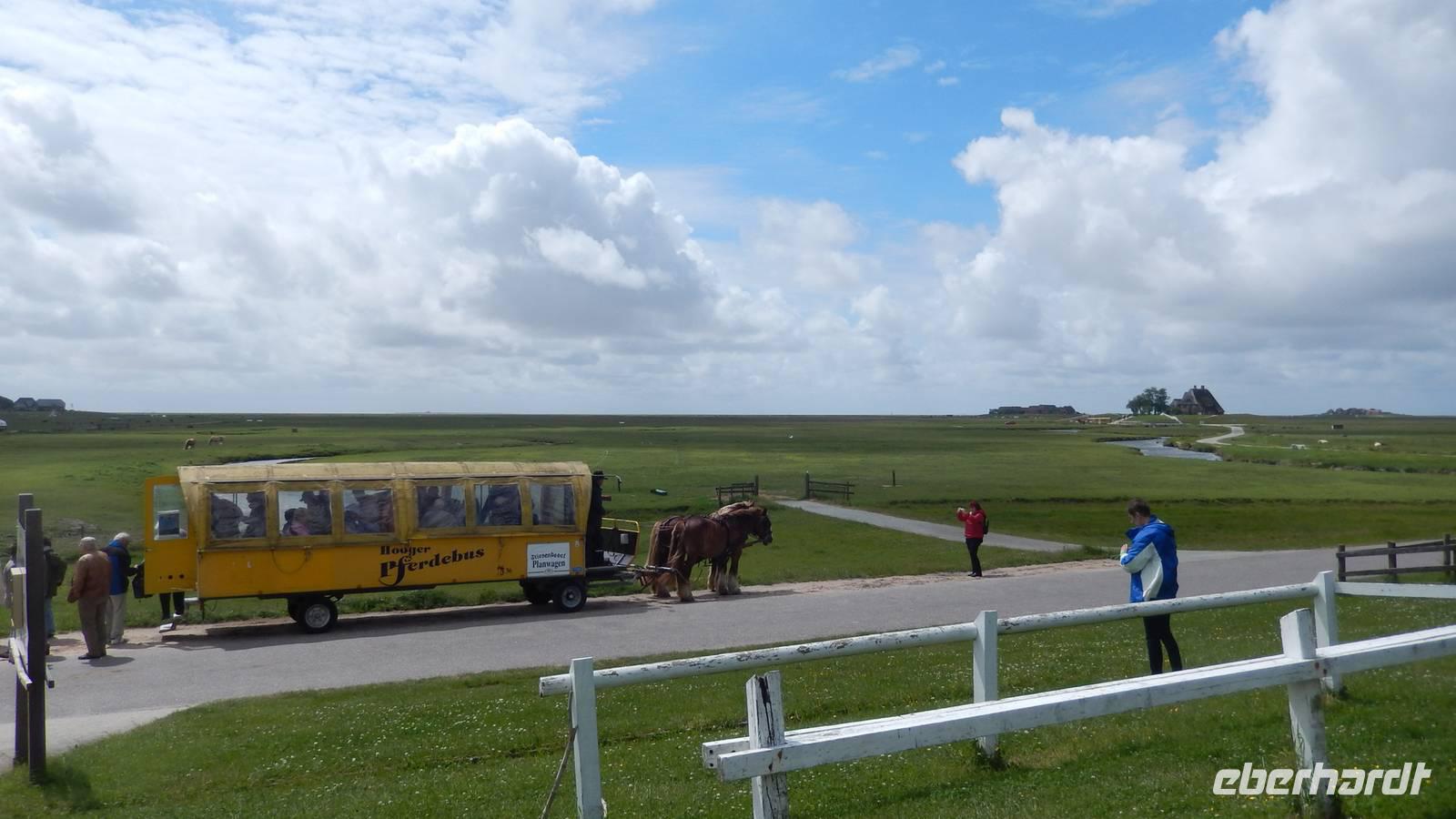 Hallig Hooge