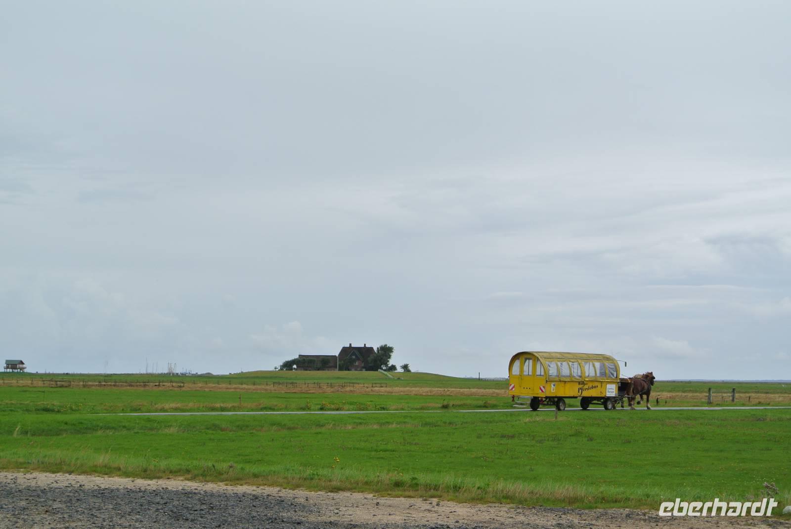 Hallig Hooge
