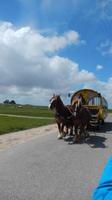 Hallig Hooge