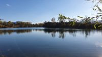 Happinger Ausee 
