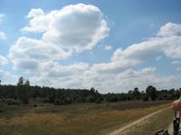 Heideabschnitt