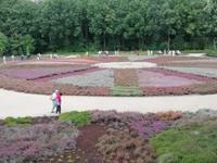 Heidegarten Höpen