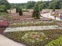 Heidegarten Höpen