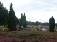 Heidegarten Schneverdingen