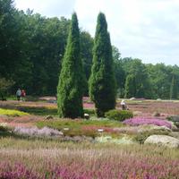 Heidegarten