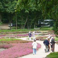 Heidegarten