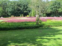 Heidegarten