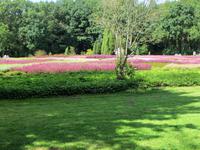 Heidegarten