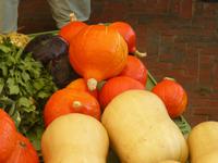 Herbstmarkt Wieck