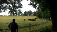 Herrenchiemsee, Blick auf das Alte Schloß 