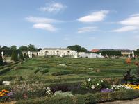 Herrenhäuser Gärten - Blick auf das Schloss