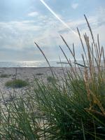 Hiddensee 