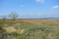 Hochmoor Hohes Venn 