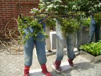 Hosen mal anders